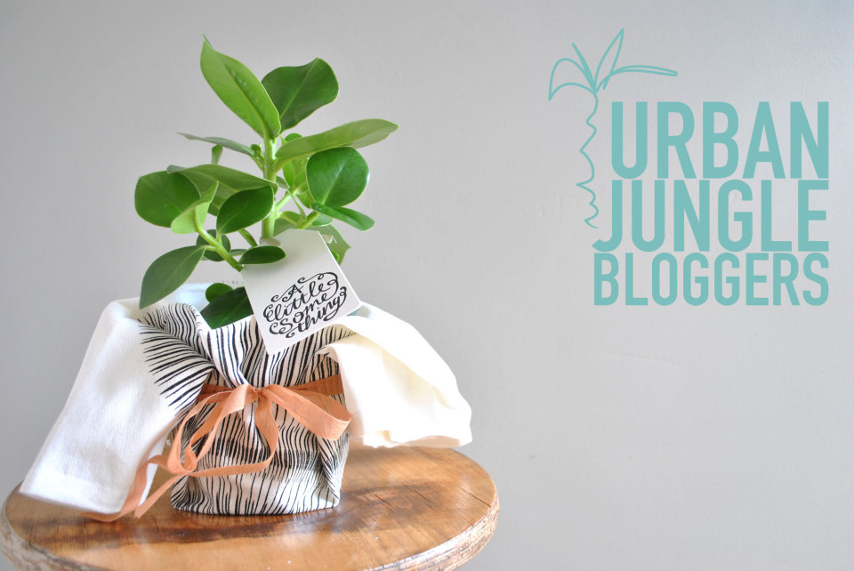 Gladys spons porselein Urban Jungle Bloggers - plant als cadeau - Thé au CitronThé au Citron