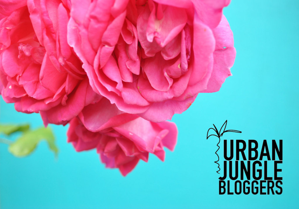 Urban Jungle Bloggers, colorpop